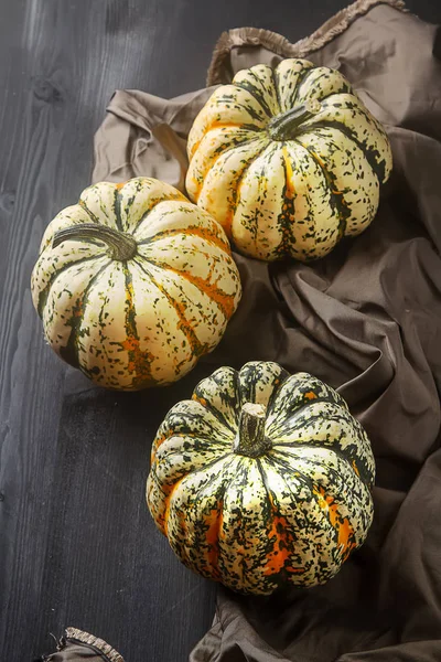 Halloween symbol. Dojrzałe dynie na farmie z ciemne tkaniny. B — Zdjęcie stockowe