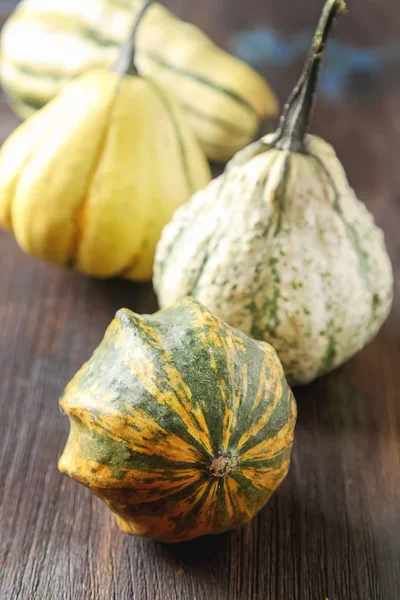 Decorare per Halloween. Piccola la maggior parte zucca su una ba di legno scura — Foto Stock