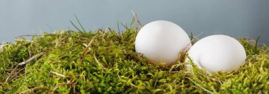 Paskalya Paskalya yumurtaları ile arka plan. kopya alanı.