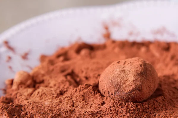 Hemmagjord chokladtryffel med kakaopulver. Kopiera utrymme. Luxur — Stockfoto