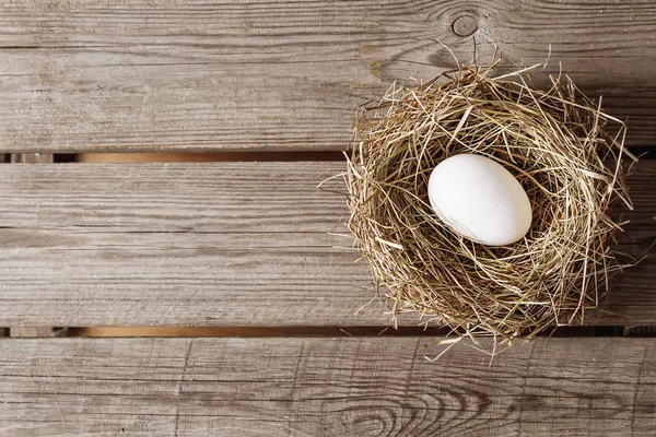 Paskalya Paskalya yumurtaları ile arka plan. Kopya alanı ile Üstten Görünüm.