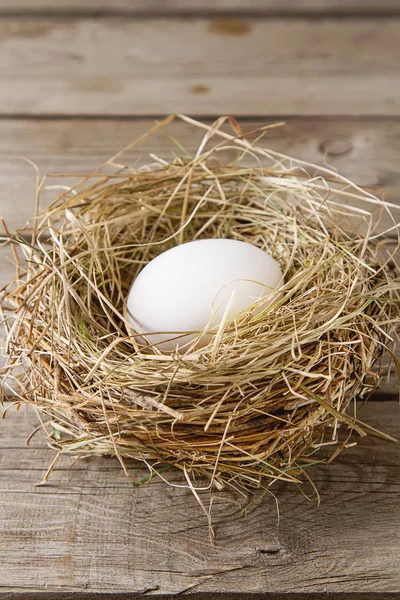 Paskalya Paskalya yumurtaları ile arka plan. kopya alanı.