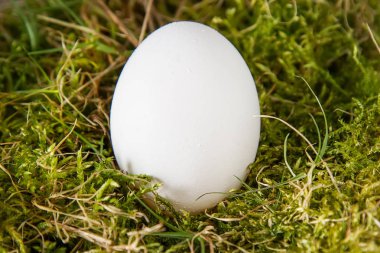 Paskalya Paskalya yumurtaları ile arka plan. Kopya alanı ile Üstten Görünüm.