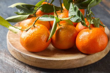 Turuncu olgun mandalina ile yeşil dalı üzerinde bırakır. Geri gri