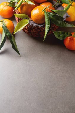 Turuncu olgun mandalina ile yeşil dalı üzerinde bırakır. Geri gri