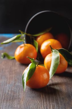 Turuncu olgun mandalina ile yeşil dalı üzerinde bırakır. Koyu renkli ahşap