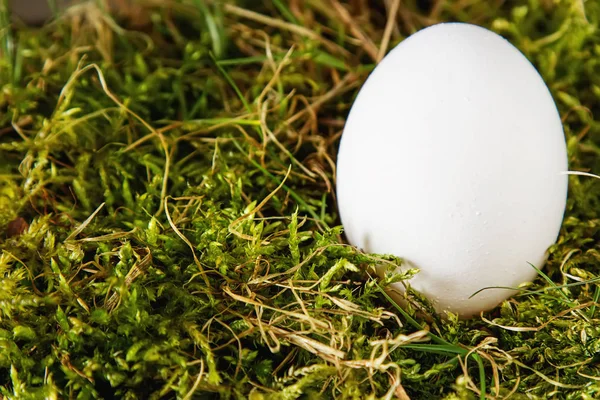 Paskalya Paskalya yumurtaları ile arka plan. Kopya alanı ile Üstten Görünüm.