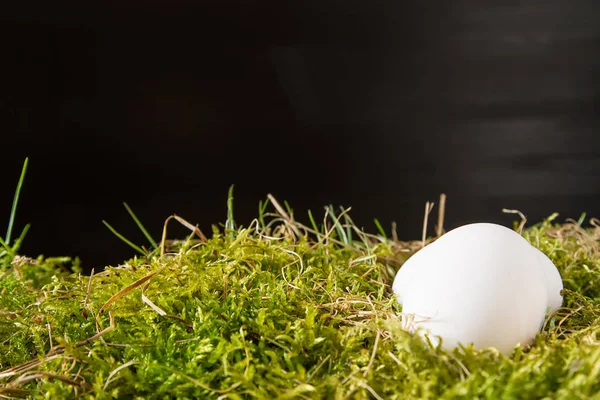 Paskalya Paskalya yumurtaları ile arka plan. kopya alanı.