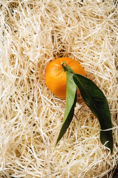 Naranja mandarina madura en la rama verde con hojas. Espalda gris — Foto de Stock