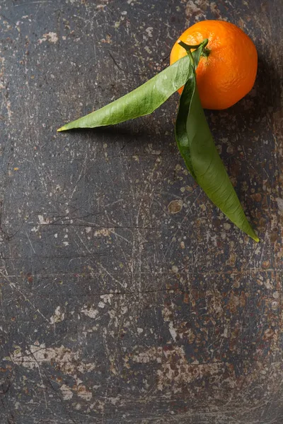 Tangerina madura laranja no ramo verde com folhas. Cinza de volta — Fotografia de Stock