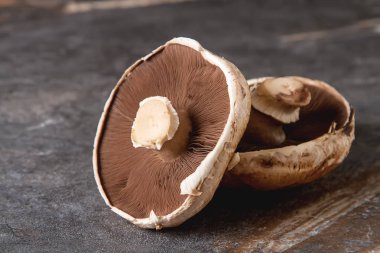 İtalyan mantar. Portobello. Lezzetli vejetaryen yemek. Karanlık b