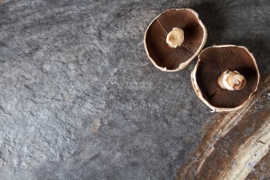 İtalyan mantar. Portobello. Lezzetli vejetaryen yemek. Karanlık b