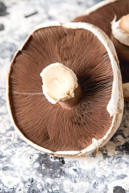 İtalyan mantar. Portobello. Lezzetli vejetaryen yemek. Karanlık b