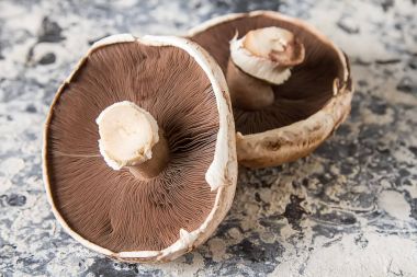 İtalyan mantar. Portobello. Lezzetli vejetaryen yemek. Karanlık b