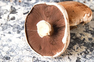 İtalyan mantar. Portobello. Lezzetli vejetaryen yemek. Karanlık b