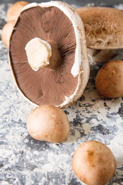 İtalyan mantar. Portobello. Lezzetli vejetaryen yemek. Karanlık b