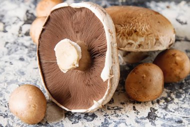 İtalyan mantar. Portobello. Lezzetli vejetaryen yemek. Karanlık b