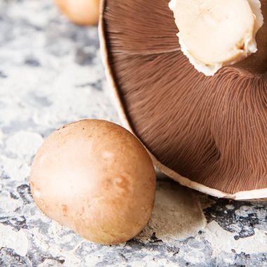 İtalyan mantar. Portobello. Lezzetli vejetaryen yemek. Karanlık b