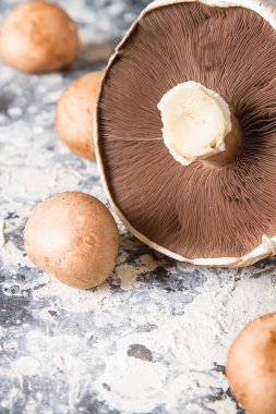 İtalyan mantar. Portobello. Lezzetli vejetaryen yemek. Karanlık b