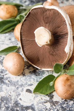 İtalyan mantar. Portobello. Lezzetli vejetaryen yemek. Karanlık b