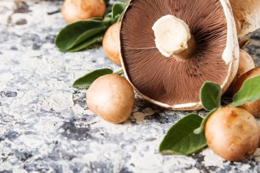 İtalyan mantar. Portobello. Lezzetli vejetaryen yemek. Karanlık b