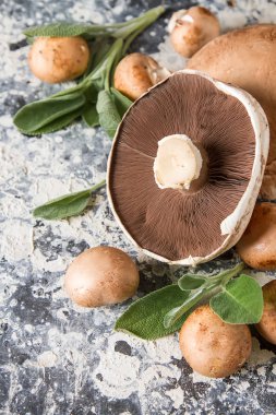 İtalyan mantar. Portobello. Lezzetli vejetaryen yemek. Karanlık b