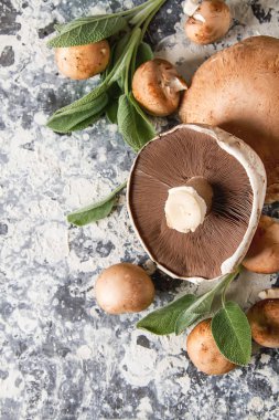 İtalyan mantar. Portobello. Lezzetli vejetaryen yemek. Karanlık b