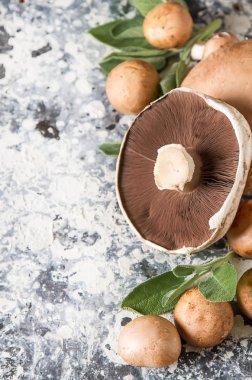 İtalyan mantar. Portobello. Lezzetli vejetaryen yemek. Karanlık b