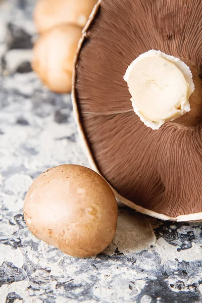 Cogumelos italianos. Portobello. Deliciosa comida vegetariana. Escuro b — Fotografia de Stock