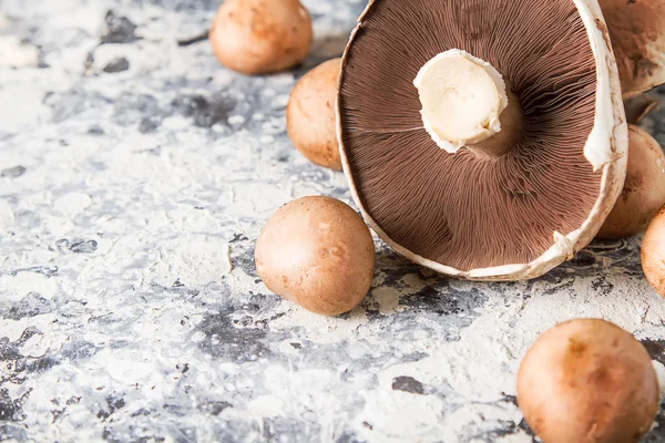 Итальянские грибы. Портобелло. Вкусная вегетарианская еда. Dark b — стоковое фото