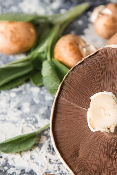 意大利蘑菇。波多贝罗。美味的素食食品。黑 b — 图库照片
