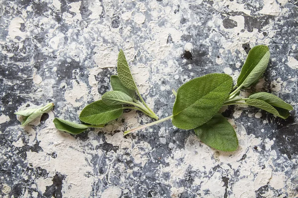 Italienska örter. Salvia. Läcker vegetarianmat. Mörk bakgrund. — Stockfoto