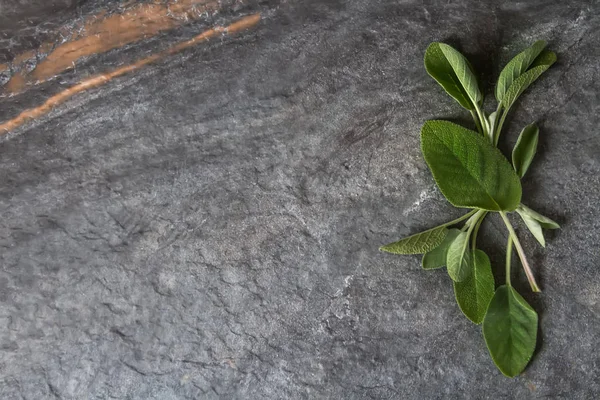 İtalyan otlar. Adaçayı. Lezzetli vejetaryen yemek. Koyu arka plan.