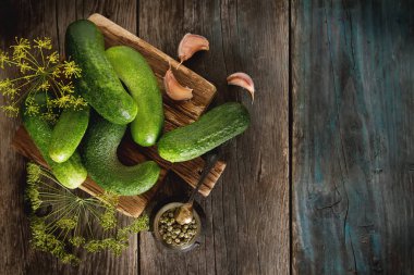 Taze salatalık, sarımsak, dereotu ve tuz Asitleme için hazırlık.