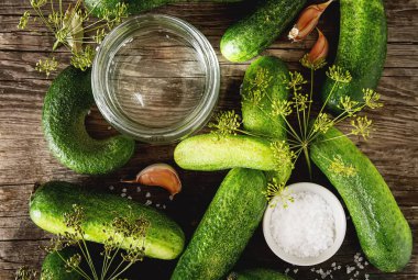 Taze salatalık, sarımsak, dereotu ve tuz Asitleme için hazırlık.