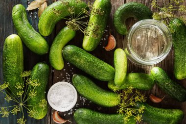 Taze salatalık, sarımsak, dereotu ve tuz Asitleme için hazırlık.