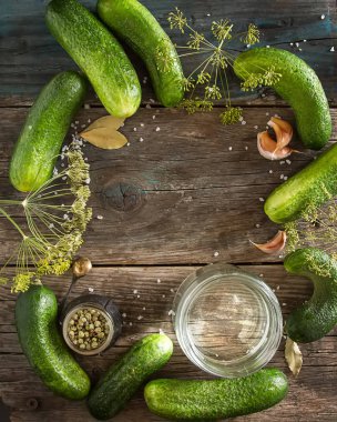 Taze salatalık, sarımsak, dereotu ve tuz Asitleme için hazırlık.