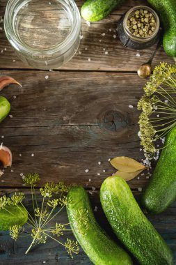Taze salatalık, sarımsak, dereotu ve tuz Asitleme için hazırlık.
