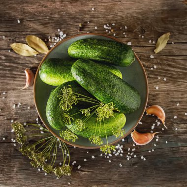 Taze salatalık, sarımsak, dereotu ve tuz Asitleme için hazırlık.