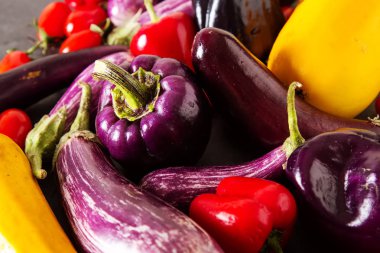 Küçük patlıcan, sarı kabak, domates ve mor biber. Dar