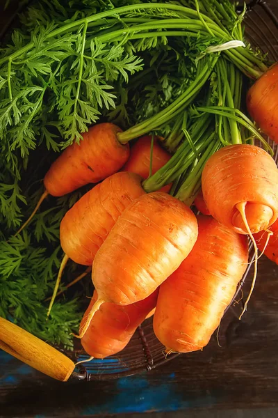 Carote giovani. Prodotti vegetariani freschi. Cibo delizioso per chi — Foto Stock