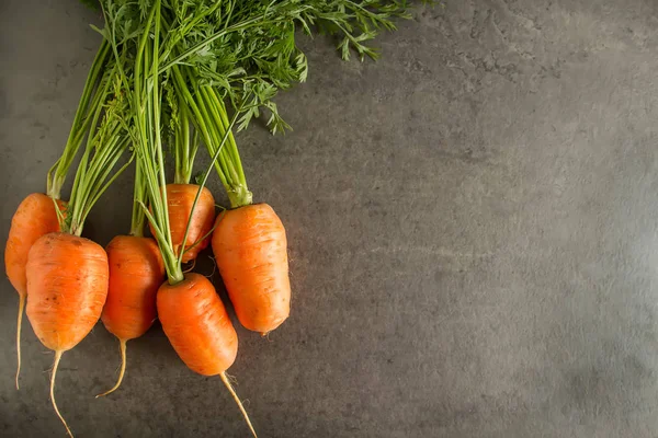 Carote giovani. Prodotti vegetariani freschi. Cibo delizioso per chi — Foto Stock