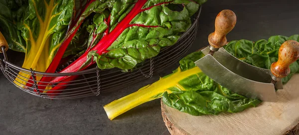 Rainbow chard, colorful eating and healthy diets. Dark backgroun — Stock Photo, Image