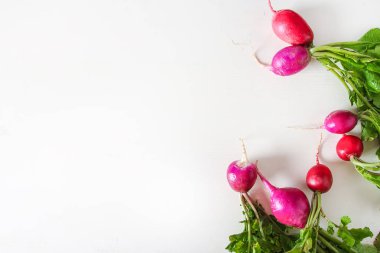 Taze renkli turp aldı. Sebze yetiştirme. Vejetaryen