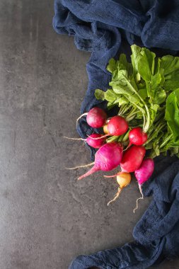 Taze renkli turp aldı. Sebze yetiştirme. Vejetaryen