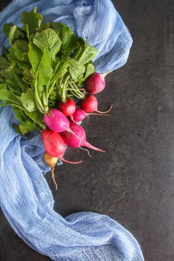 Taze renkli turp aldı. Sebze yetiştirme. Vejetaryen