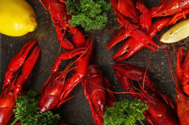 Maydanoz ve limon ile lezzetli haşlanmış kerevit yakın çekim. Karanlık 