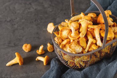 Ham vahşi Cantharellus cibarius mantar yemek pişirmek için redy. koyu arka plan