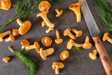 Ham vahşi Cantharellus cibarius mantar yemek pişirmek için redy. koyu arka plan