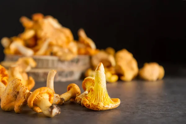 Cogumelos chanterelle selvagens crus redy para cozinhar. fundo escuro — Fotografia de Stock